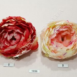 1856-1024x768