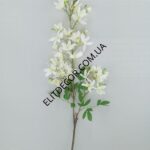 7776-1-1-600x800