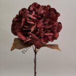 8270-1-scaled