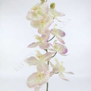 IMG_20201209_134919-1536x2048