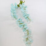 IMG_20210223_131051-1536x2048