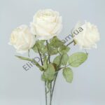 IMG_20210522_124001-1536x2048