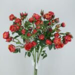 IMG_20210525_120927-1536x2048