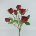 IMG_20210713_120039-1536x2048