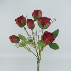 IMG_20210713_120039-1536x2048