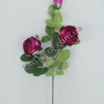 IMG_20210715_125206-1536x2048