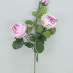 IMG_20210715_125353-1536x2048