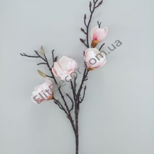 IMG_20210912_122414-1536x2048