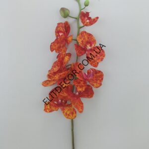 IMG_20211107_115648-1536x2048