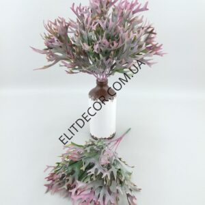 3948-1-1536x2048