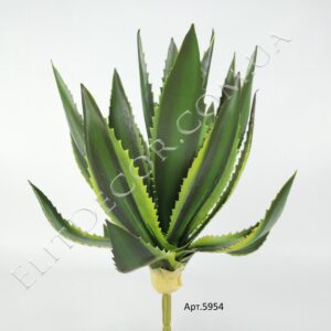 IMG_20201219_115900-1-1536x1152