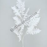 IMG_20210816_104816-1536x2048