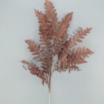 IMG_20210816_110147-1536x2048