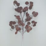 IMG_20210817_105927-1536x2048