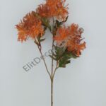 IMG_20210823_115107-1536x2048