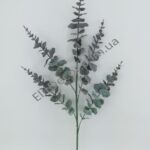 IMG_20210824_120939-1536x2048