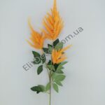 IMG_20210824_124318-1536x2048