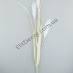 IMG_20210824_130139-1536x2048