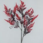 IMG_20210825_113738-1536x2048