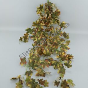 IMG_20210922_095624-1536x2048