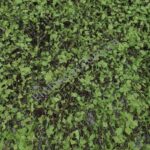 IMG_20210927_125532-1536x2048