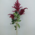 IMG_20211101_125503-1536x2048