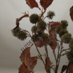 IMG_20230526_140817-1536x2048