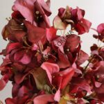 IMG_20230818_151000-1536x2048